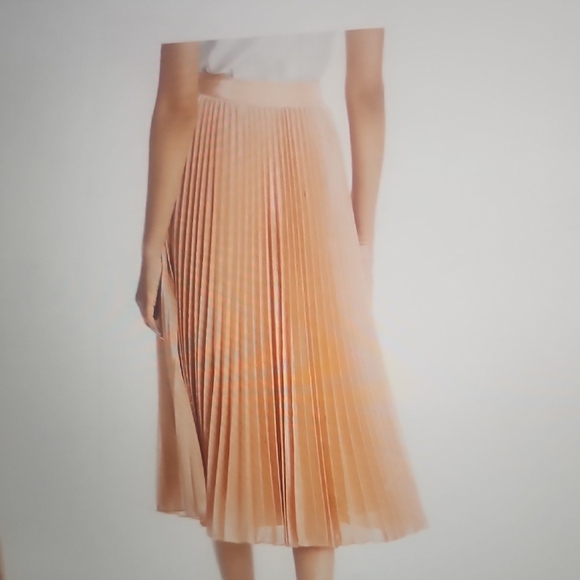 Reiss Alessi Metallic Pleated Midi Skirt Size 4 - Picture 6 of 7